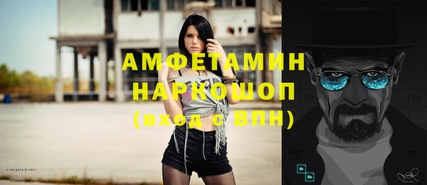 стаф Алексин