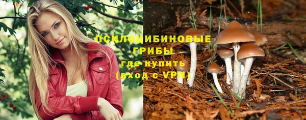 стаф Алексин