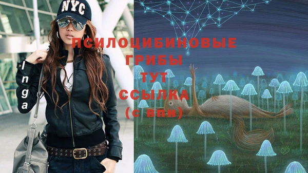 каннабис Алексеевка