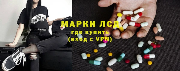 стаф Алексин